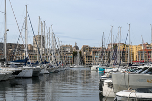 Traitement punaises de lit Marseille